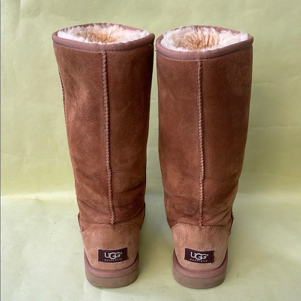 UGG Light Brown Winter Boots Plush Suede